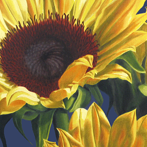 Sunflowers on Blue