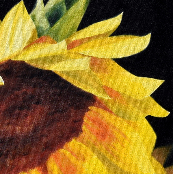 Sunflowers in Jar oil painting