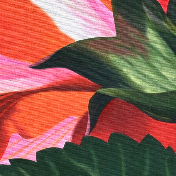 Sun Drenched Hibiscus