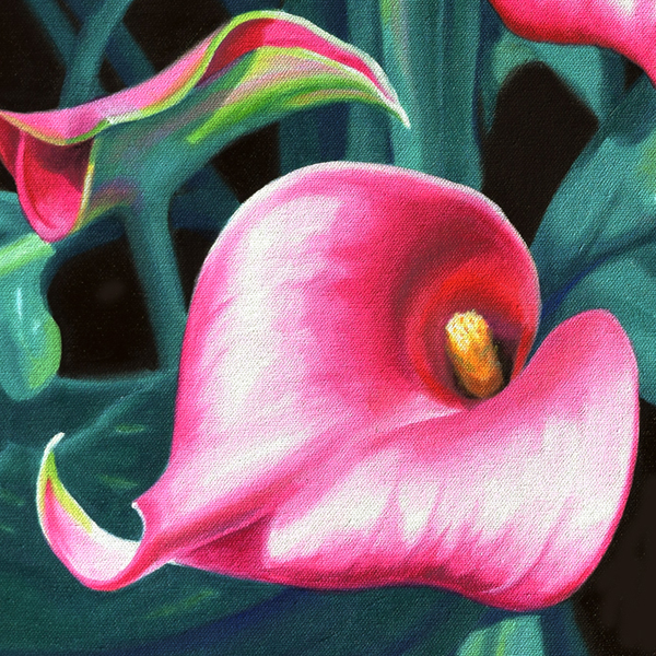 Calla Lilies oil painting