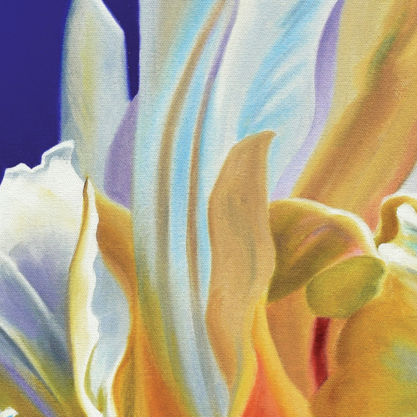 Ruffled Parrot Tulips