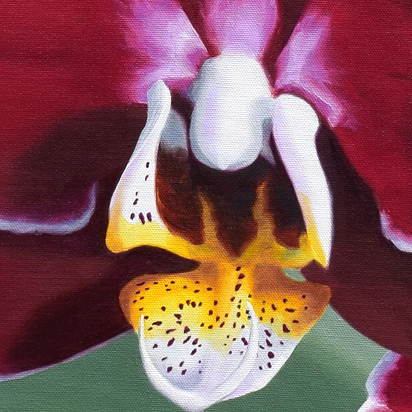Orchids
