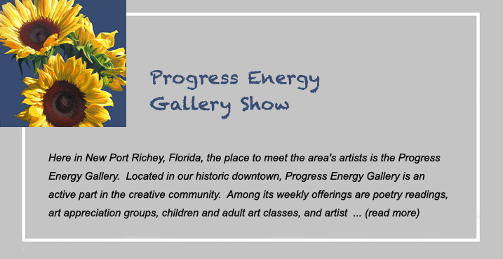 progress energy gallery show