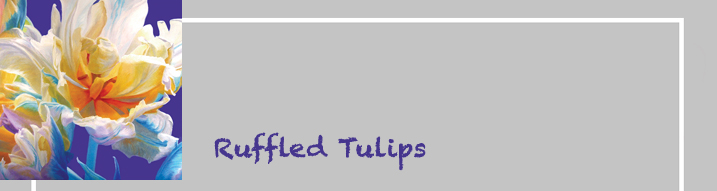ruffled tulips