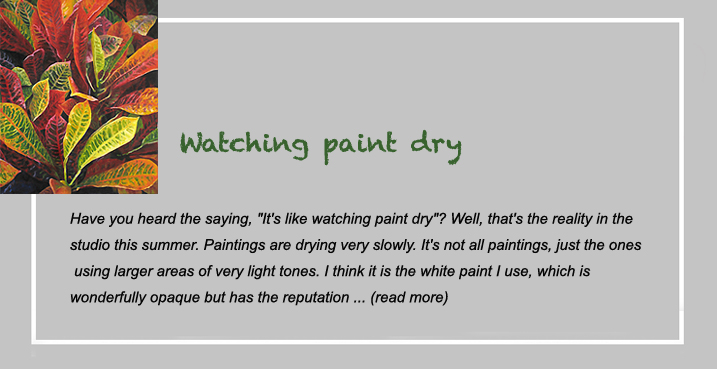 watching paint dry
